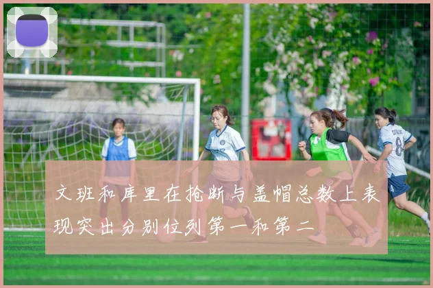 文班和库里在抢断与盖帽总数上表现突出分别位列第一和第二